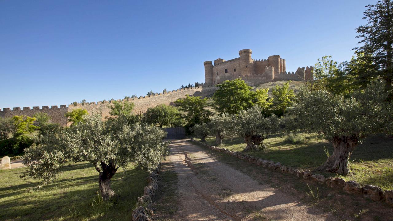 Palacete señorial con piscina y 120 olivos.