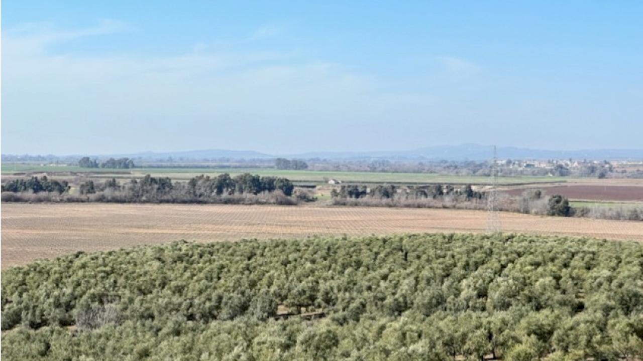 Oil mill with 200 hectares of olive grove