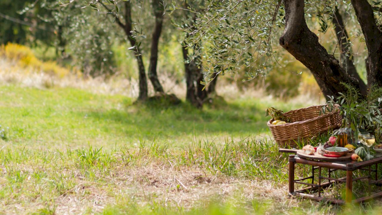 Farm with 150 hectares and new oil mill, 80 hectares of olive trees and 60 hectares of almond trees.