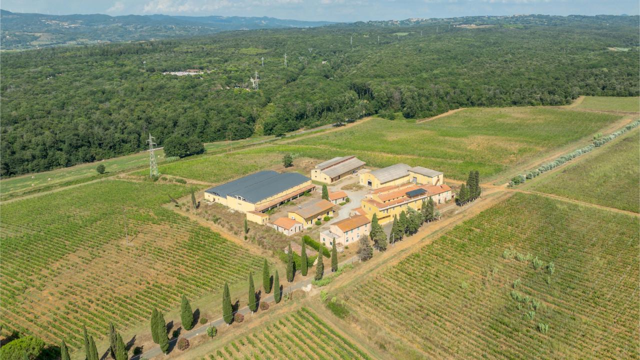 Finca para el desarrollo de una actividad oleícola y vitivinícola de alto nivel, con potencial para integrar hostelería de lujo, agroturismo.