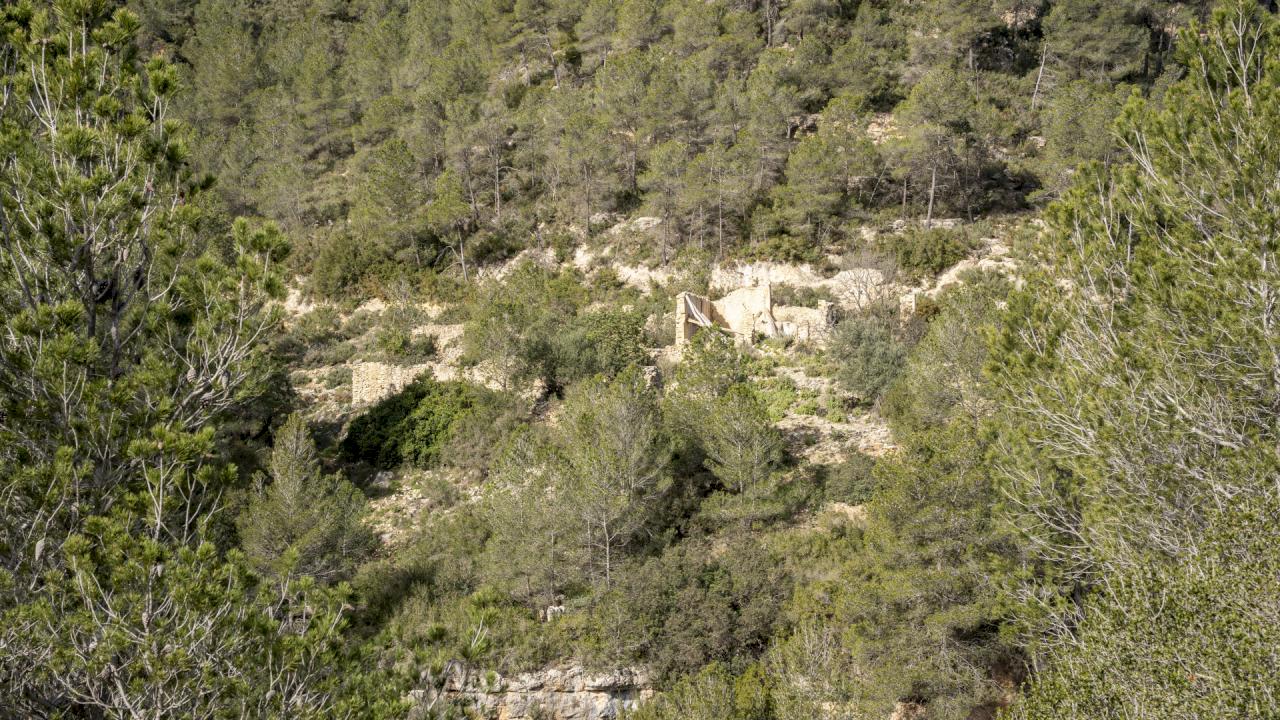 120 hectares of forest with the possibility of construction.